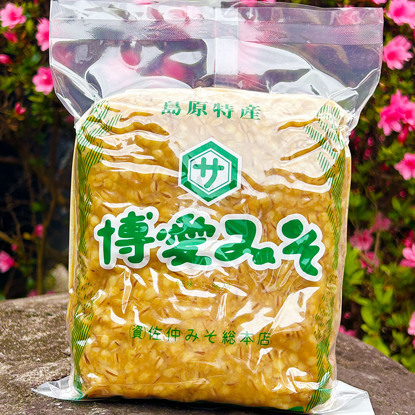 島原特産　博愛みそ写真